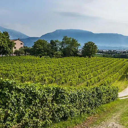 Baldi: The Perfect Refuge Between Vineyards And Nature Πανσιόν 3*