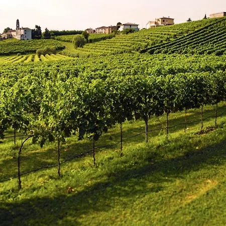 Baldi: The Perfect Refuge Between Vineyards And Nature * Ogliano