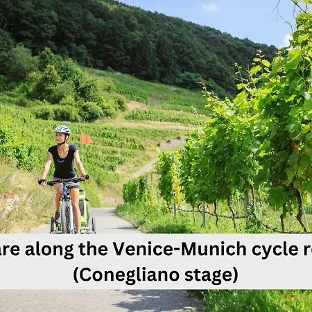 Baldi: The Perfect Refuge Between Vineyards And Nature Maison d'hôtes Ogliano