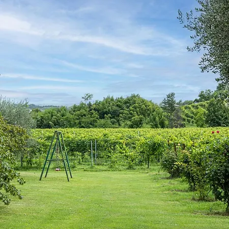 Maison d'hôtes Baldi: The Perfect Refuge Between Vineyards And Nature