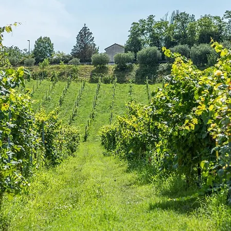 Baldi: The Perfect Refuge Between Vineyards And Nature Πανσιόν