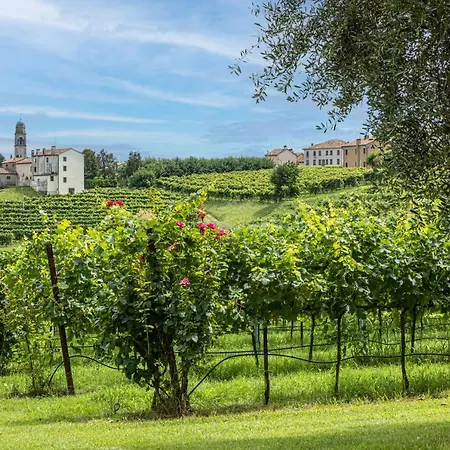 Baldi: The Perfect Refuge Between Vineyards And Nature * Ogliano